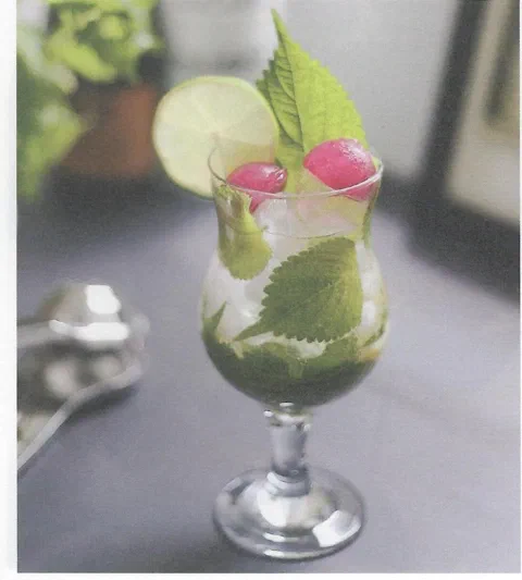 Mojito de limón sin alcohol, con rodaja de limón y hojas verdes de decoración