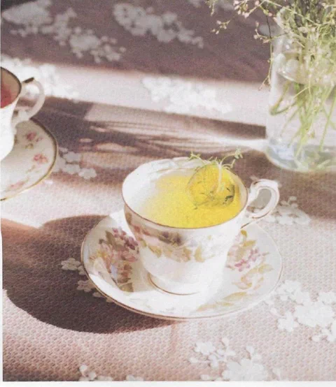 Té de mandarina, servido en una taza con hierbas de decoración