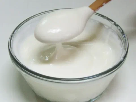 Yogur casero, recién batido en un bowl