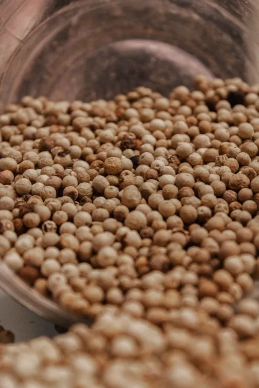 Granos de pimienta blanca