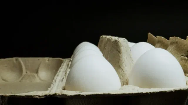 Huevos de gallina en una cartonera